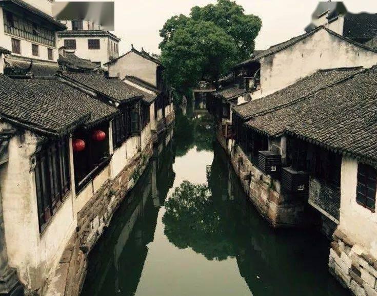 萌兔兔闯关